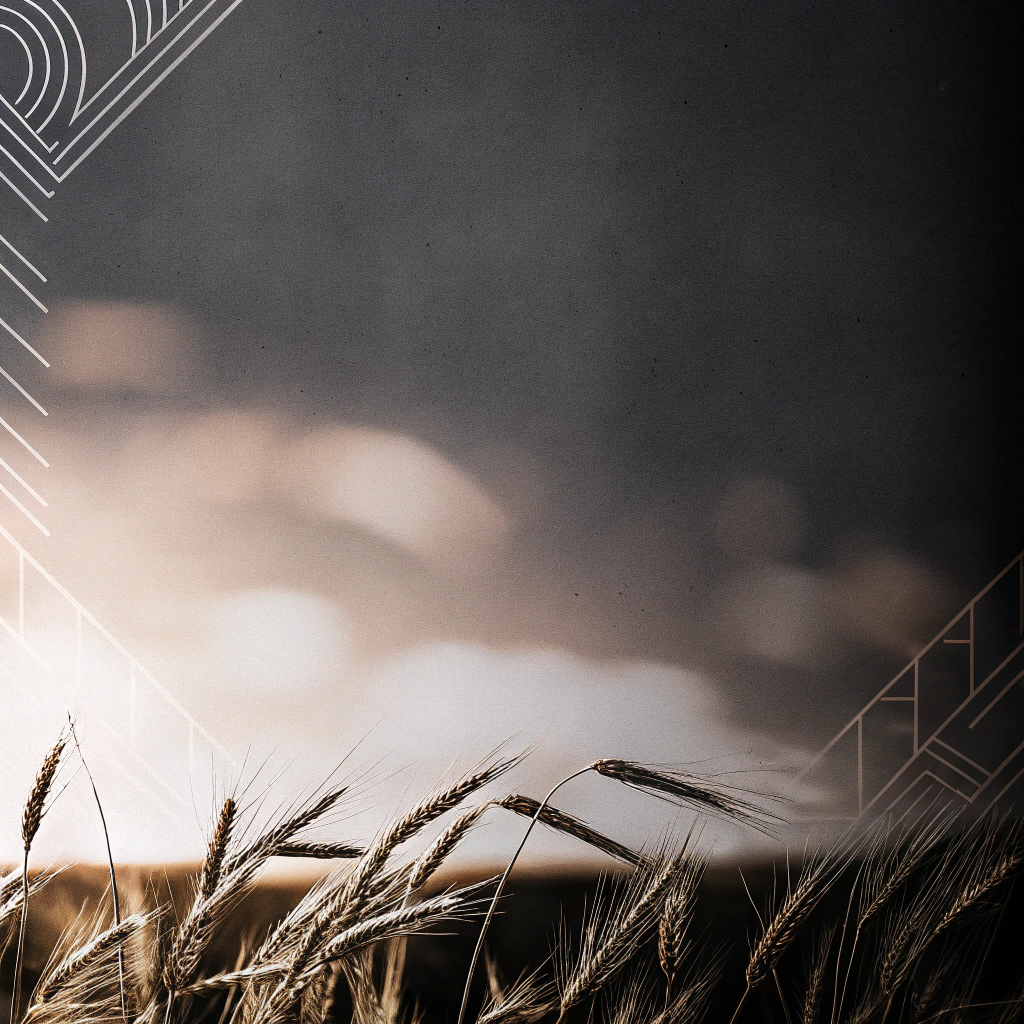 create-a-professional-banner-background-for-ukrain (2)