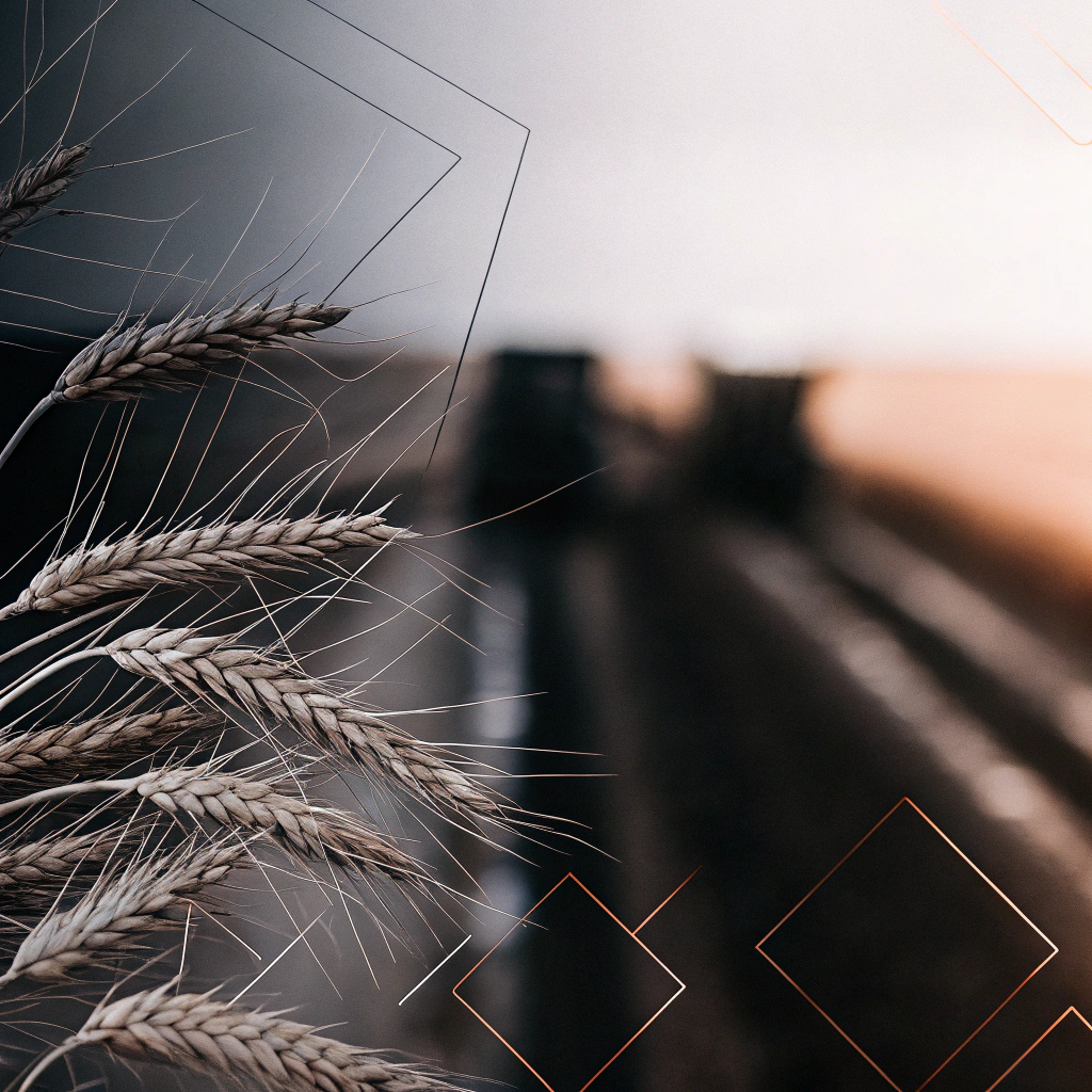 create-a-professional-banner-background-for-ukrain (4)